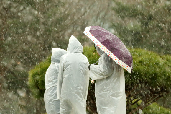 눈비 내리는 서울