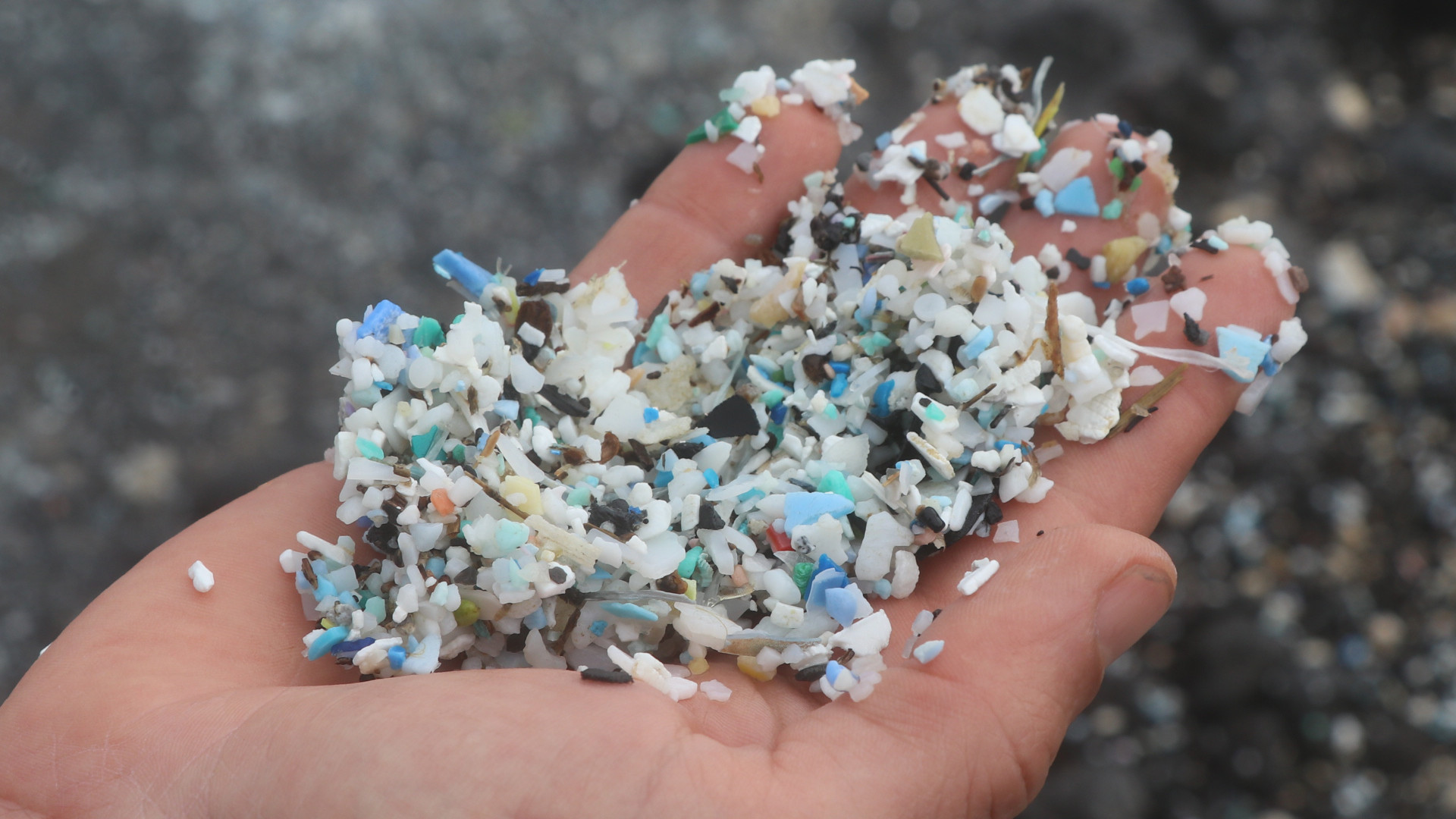 해양오염 미세플라스틱 대부분은 합성섬유에서 비롯