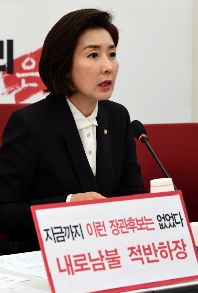 28일 서울 여의도 국회에서 열린 자유한국당의 문정권 문제인사청문회 평가회의에서 나경원 원내대표가 모두발언을 하고 있다. 2019. 3. 28 정연호 기자 tpgod@seoul.co.kr