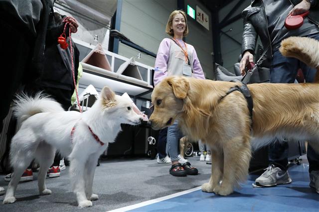 ‘반갑다 친구야’