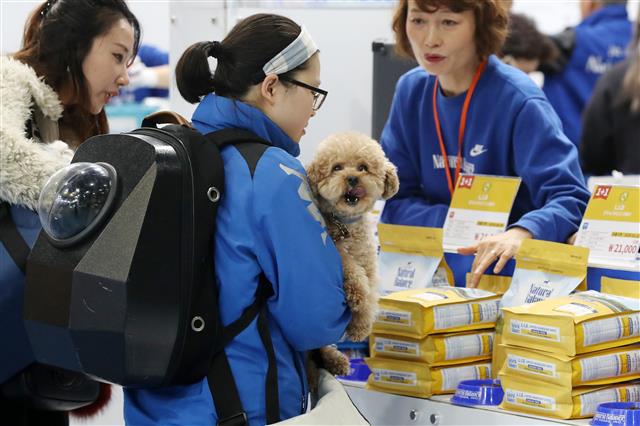 ‘내 강아지가 먹을 사료는?’