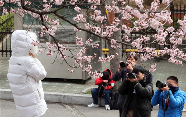 활짝 핀 봄꽃과 겨울옷