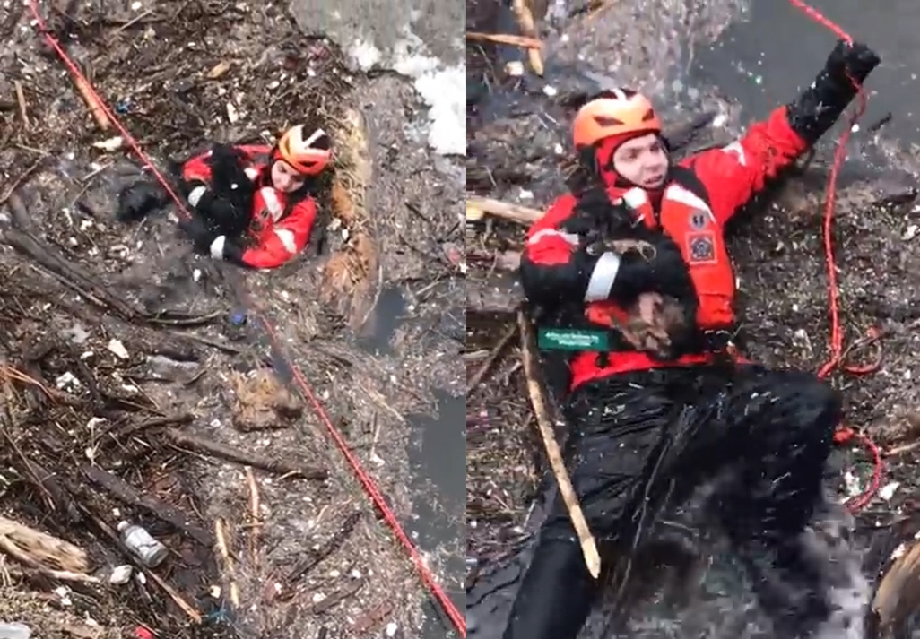 언 강에 빠져 얼어 죽을 뻔한 강아지를 구조하는 감동적인 모습(유튜브 영상 캡처)