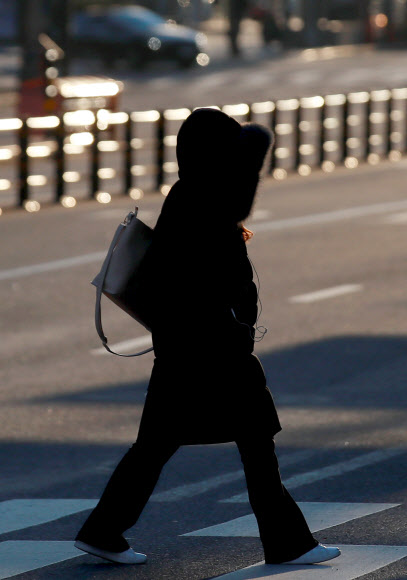 봄 햇살과 추위의 경계에서