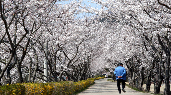한복판으로 향하는 봄
