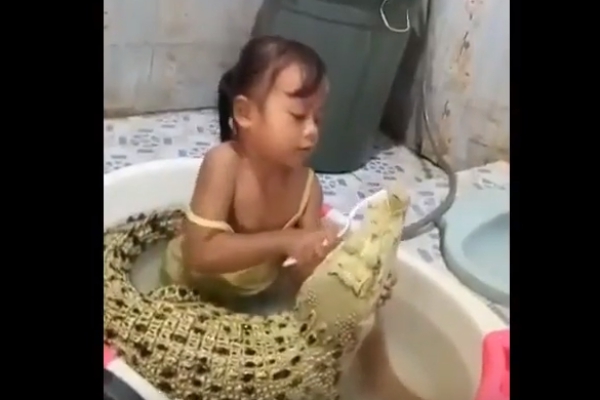 ‘치카치카 하자’