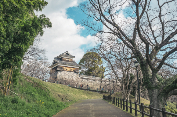 일본 3대 성 중 하나로 꼽히는 구마모토성에 오르는 길.