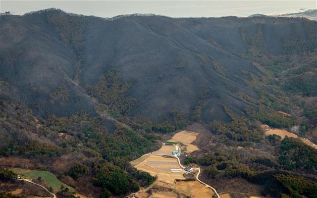상처만 남긴 산불