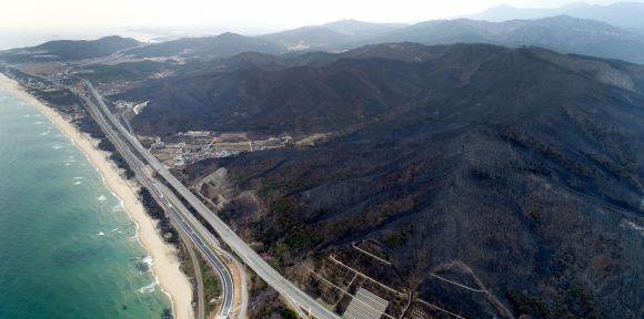 6일 강원도 강릉시 옥계면 일대의 야산이 전날 발생한 산불로 앙상한 모습을 보이고 있다. 2019.4.6. 박지환 기자 popocar@seoul.co.kr