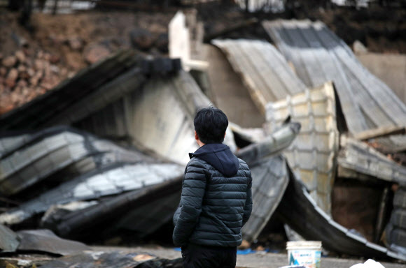 삶의 터전이었는데…