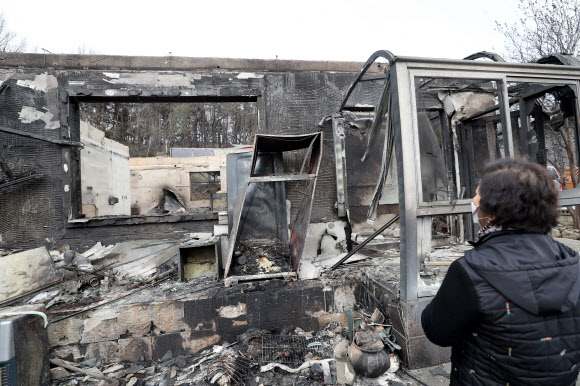 모두 사라진 보금자리