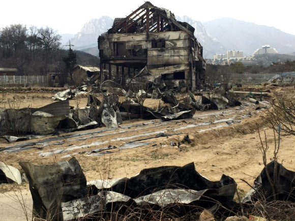 폐허로 변한 산불피해 지역