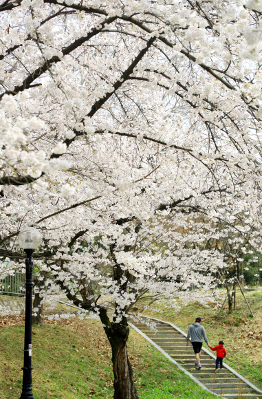 봄 기운이 물씬