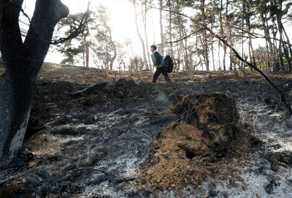 산불 피해 속 등교