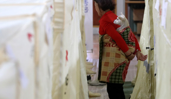 엄마 기운 내세요