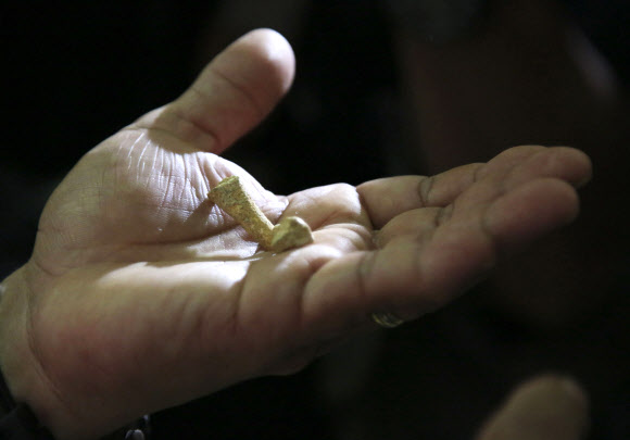 파리 자연사박물관 연구팀은 10일(현지시간) 과학 전문 학술지 네이처를 통해 필리핀 루손섬의 칼라오 동굴에서 새로운 인류의 종을 발견했다고 발표했다. 연구팀은 치아 7개, 두개골 2개, 발뼈 3개, 허벅지뼈 1개 등을 분석한 결과 “다른 종에서 발견된 것과 다른 조합의 특징을 갖고 있다”면서“새로운 종에 ‘호모 루조넨시스’라고 이름 붙였다”고 밝혔다. 2019.4.11 AP 연합뉴스