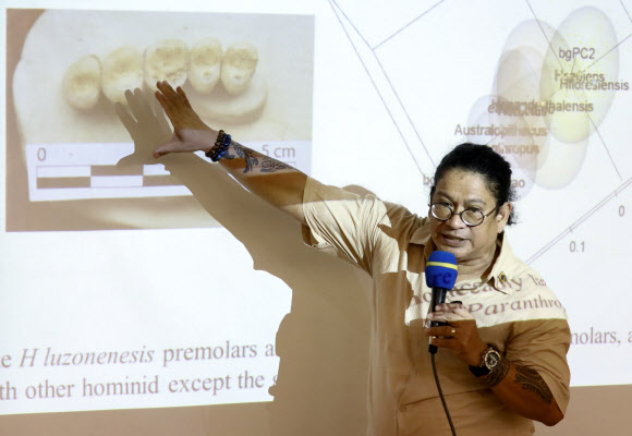 파리 자연사박물관 연구팀은 10일(현지시간) 과학 전문 학술지 네이처를 통해 필리핀 루손섬의 칼라오 동굴에서 새로운 인류의 종을 발견했다고 발표했다. 연구팀은 치아 7개, 두개골 2개, 발뼈 3개, 허벅지뼈 1개 등을 분석한 결과 “다른 종에서 발견된 것과 다른 조합의 특징을 갖고 있다”면서“새로운 종에 ‘호모 루조넨시스’라고 이름 붙였다”고 밝혔다. 2019.4.11 EPA 연합뉴스