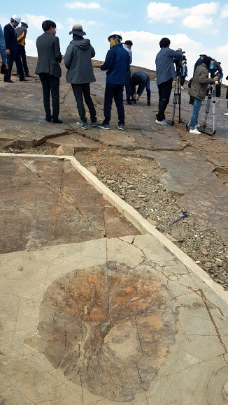 7천700여개 공룡발자국 화석지 확인