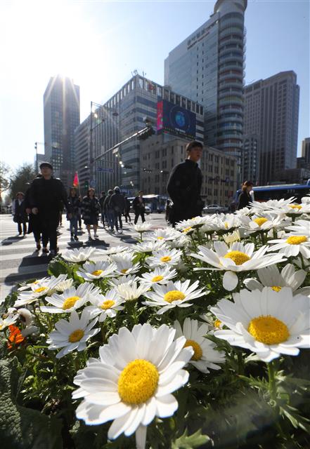16일 오전 서울 광화문네거리에서 시민들이 가벼운 옷차림으로 출근하고 있다. 기상청은 이날 한낮 최고 기온이 대부분 20도를 웃돌면서 봄기운이 가득할 것으로 예보했다. 2019.4.16 뉴스1
