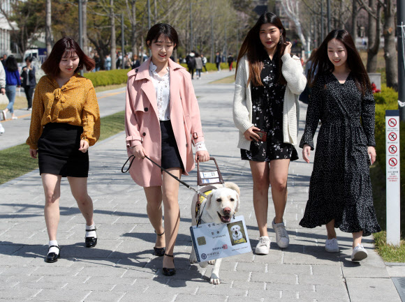명예학생증 받은 ‘눈송’이와 함께
