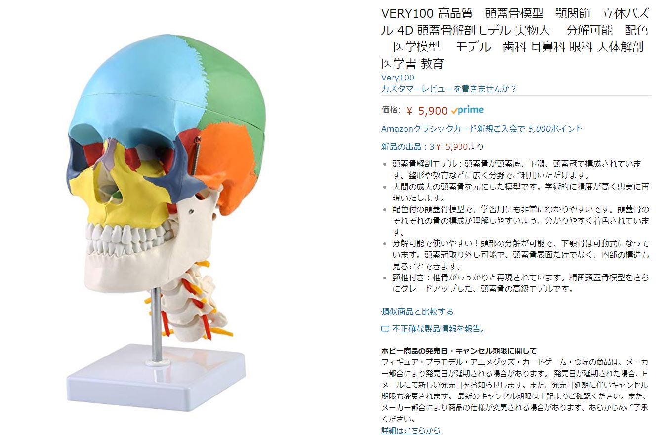 일본 인터넷 쇼핑몰에서 판매되고 있는 교육용 두개골 모형. <이 사진은 기사의 특정사실과 관련 없음> 아마존 캡처