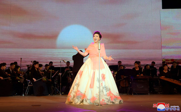 태양절 축하 예술공연