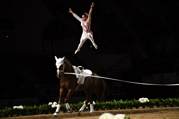 스위스의 기수 마리나 모하르가 18일(현지시간) 프랑스 동부의 소뮈르에 있는 프랑스 국립 승마 학교 Cadre Noir에서 열린 ‘the FEI Vaulting World Cup’ 결승전에서 멋진 연기를 펼치고 있다. AFP 연합뉴스