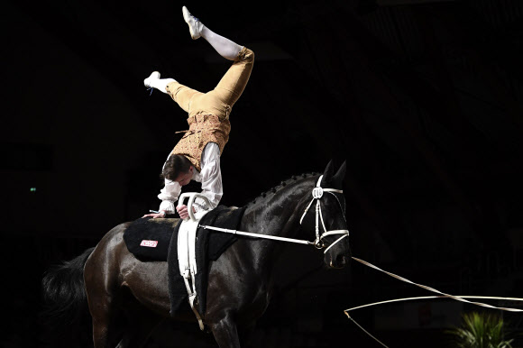 프랑스의 기수가 18일(현지시간) 프랑스 동부의 소뮈르에 있는 프랑스 국립 승마 학교 Cadre Noir에서 열린 ‘the FEI Vaulting World Cup’ 결승전에서 멋진 연기를 펼치고 있다. AFP 연합뉴스
