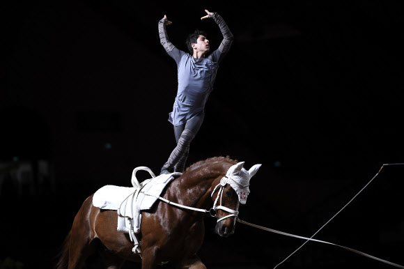 콜롬비아의 기수가 18일(현지시간) 프랑스 동부의 소뮈르에 있는 프랑스 국립 승마 학교 Cadre Noir에서 열린 ‘the FEI Vaulting World Cup’ 결승전에서 멋진 연기를 펼치고 있다. AFP 연합뉴스