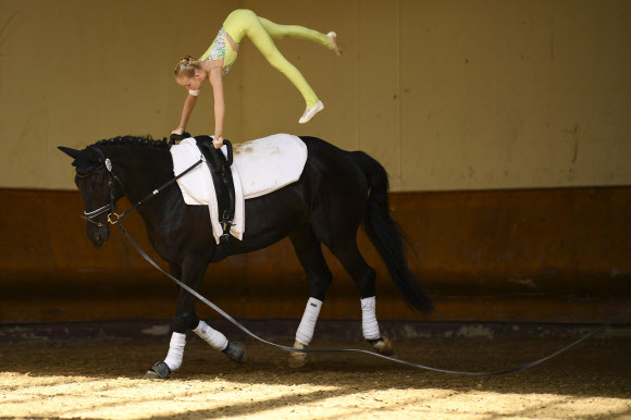 한 기수가 18일(현지시간) 프랑스 동부의 소뮈르에 있는 프랑스 국립 승마 학교 Cadre Noir에서 열린 ‘the FEI Vaulting World Cup’ 결승전이 열리기 전에 몸을 풀고 있다. AFP 연합뉴스