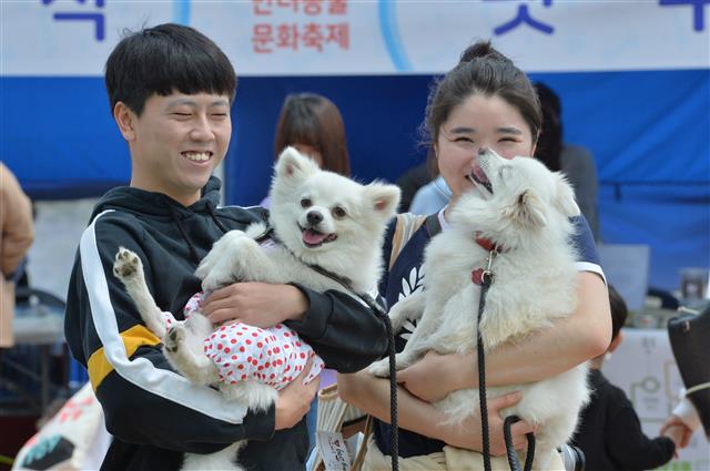 경북 포항시 남구 오천읍 냉천수변공원에서 열린 제6회 포항반려견문화축제에서 참가한 견주들이 반려견과 함께 즐거운 시간을 보내고 있다.이날 축제에는 500여마리의 반려견이 참가했다.2019.4.21 뉴스1