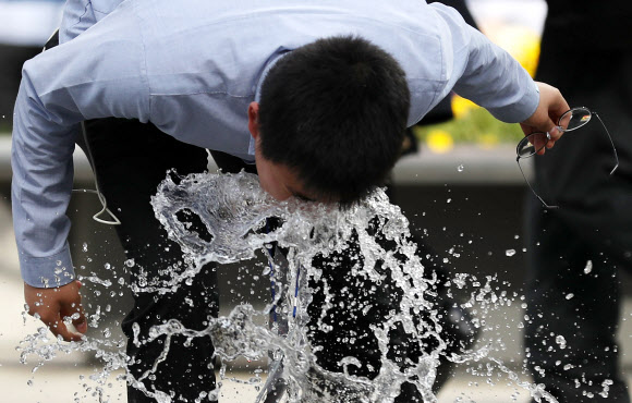 갑작스런 더위가 당황스럽습니다