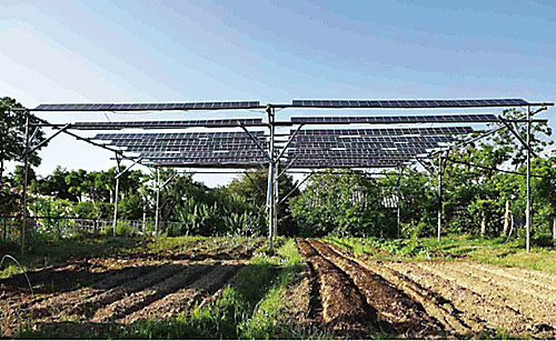 쌀농사와 태양광 발전을 동시에 하는 일본의 영농형 태양광 농가.