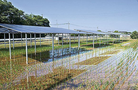 쌀농사에 태양광이 결합한 ‘영농형 태양광사업’으로 사진과 같이 일본은 보편화된 사업이다. 이는 지역거주자가 직접 생업인 농사와 함께 태양광사업을 진행함으로서 수익개선과 에너지전환에 기여할 수 있다. 현재 시범 운영 중인 우리나라도 확대될 것으로 기대된다.