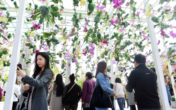 28일 경기 고양시 호수공원에서 열린 고양국제꽃박람회를 찾은 관람객들이 전시된 꽃을 구경하고 있다.  2019.04.28 정연호 기자 tpgod@seoul.co.kr