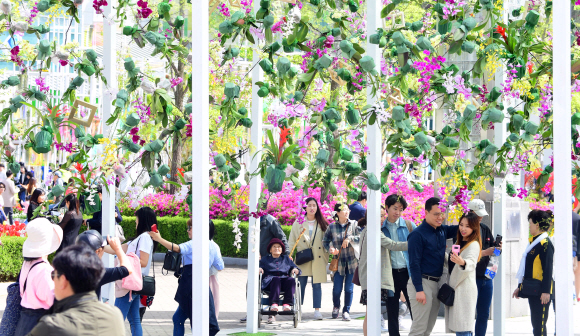 28일 경기 고양시 호수공원에서 열린 고양국제꽃박람회를 찾은 관람객들이 전시된 꽃을 구경하고 있다.  2019.04.28 정연호 기자 tpgod@seoul.co.kr