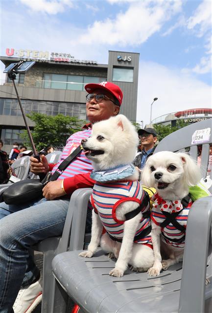 주인님과 함께 즐거운 축제