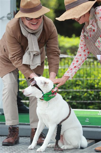 주인과 닮은 멋쟁이 반려견