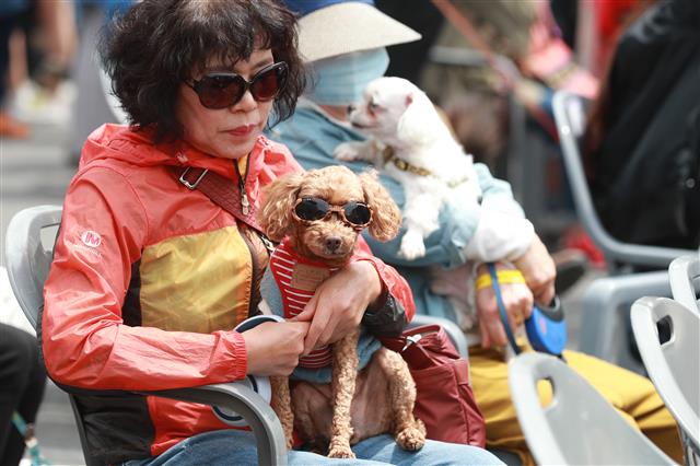 반려견과 나란히 선글라스