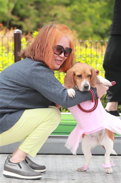 반려견 고스튬 ‘발레쇼’