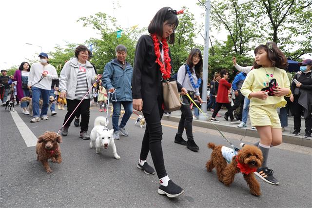 주인과 반려견 함께 참여하는 펫퍼레이드