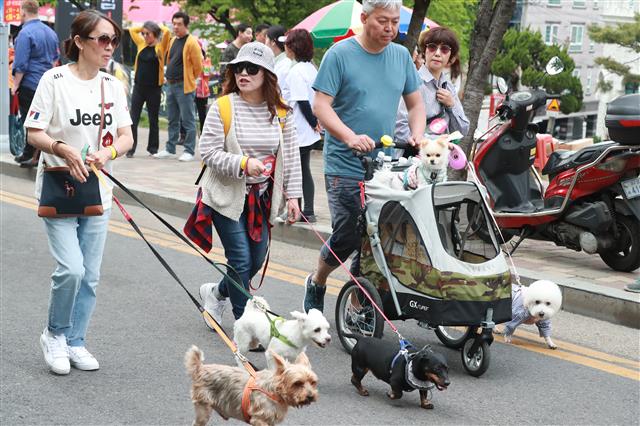 유모차 타고 함께 산책