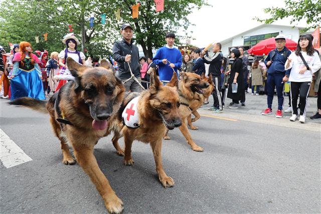 휴일 도심에서 열린 펫퍼레이드