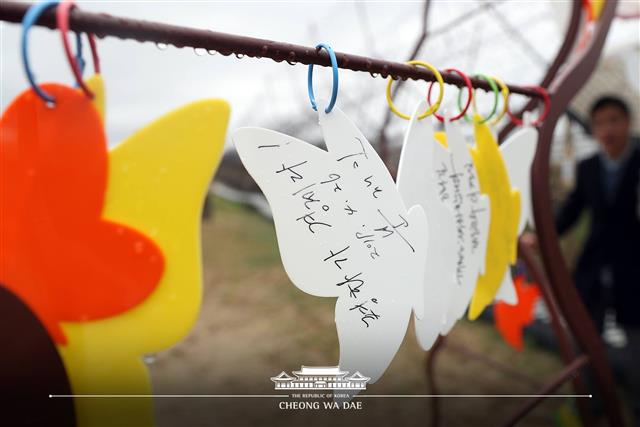 지난 26일 고성 ‘DMZ 평화의길’을 방문한 문재인 대통령이 소망트리에 걸어둔 카드. ‘평화가 경제다’라고 적혀 있다. 청와대 페이스북