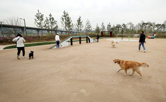 인천 최대 규모 반려견 놀이터 ‘송도 도그 파크’ 개장