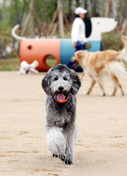 ‘친구들과 놀 수 있어 즐거워요’
