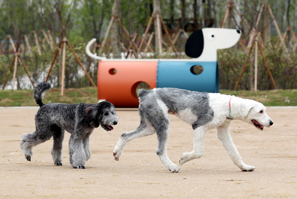 ‘맘껏 뛰어놀 수 있어 좋아요’