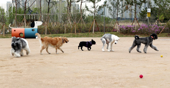 ‘친구들과 놀 수 있어 즐거워요’