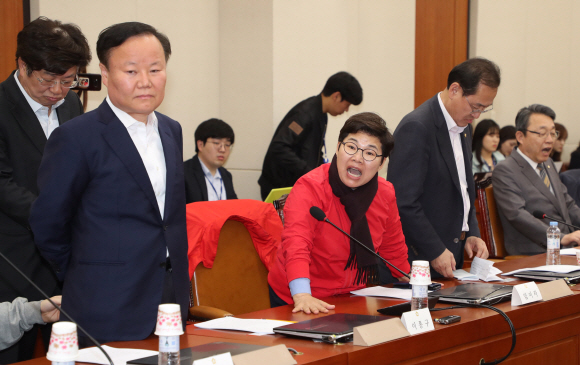 29일 오후 심상정 국회 정치개혁특위 위원장과 더불어민주당, 바른미래당, 민주평화당 위원들이 국회 정무위원회 회의실에서 정개특위 전체회의를 개회하려하자 뒤늦게 들어온 자유한국당 임이자 의원이 항의하고 있다/2019.4.29. 정연호 기자 tpgod@seoul.co.kr