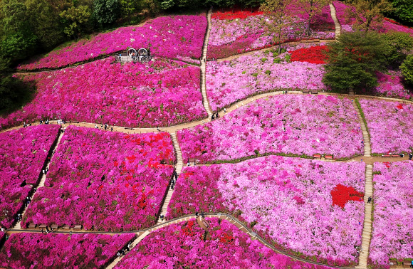 울긋불긋 꽃 대궐